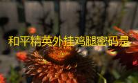 和平精英外挂鸡腿密码是什么意思